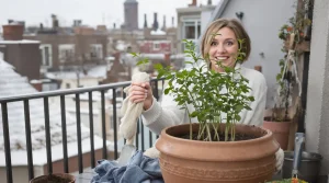 Cette plante remplace les cubes de bouillon et se cultive en pot à cette période précise
